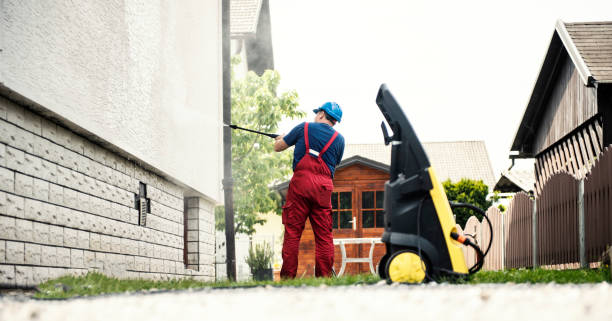 Best Roof Cleaning and Mildew Removal in Columbia, IL